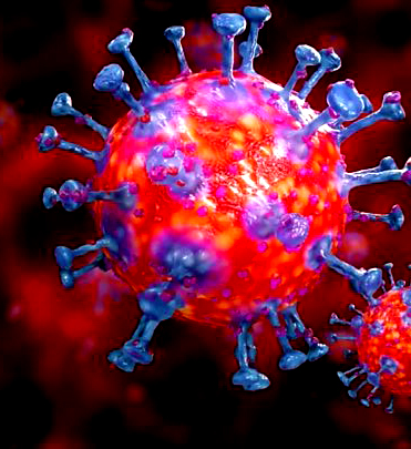 coronavirus